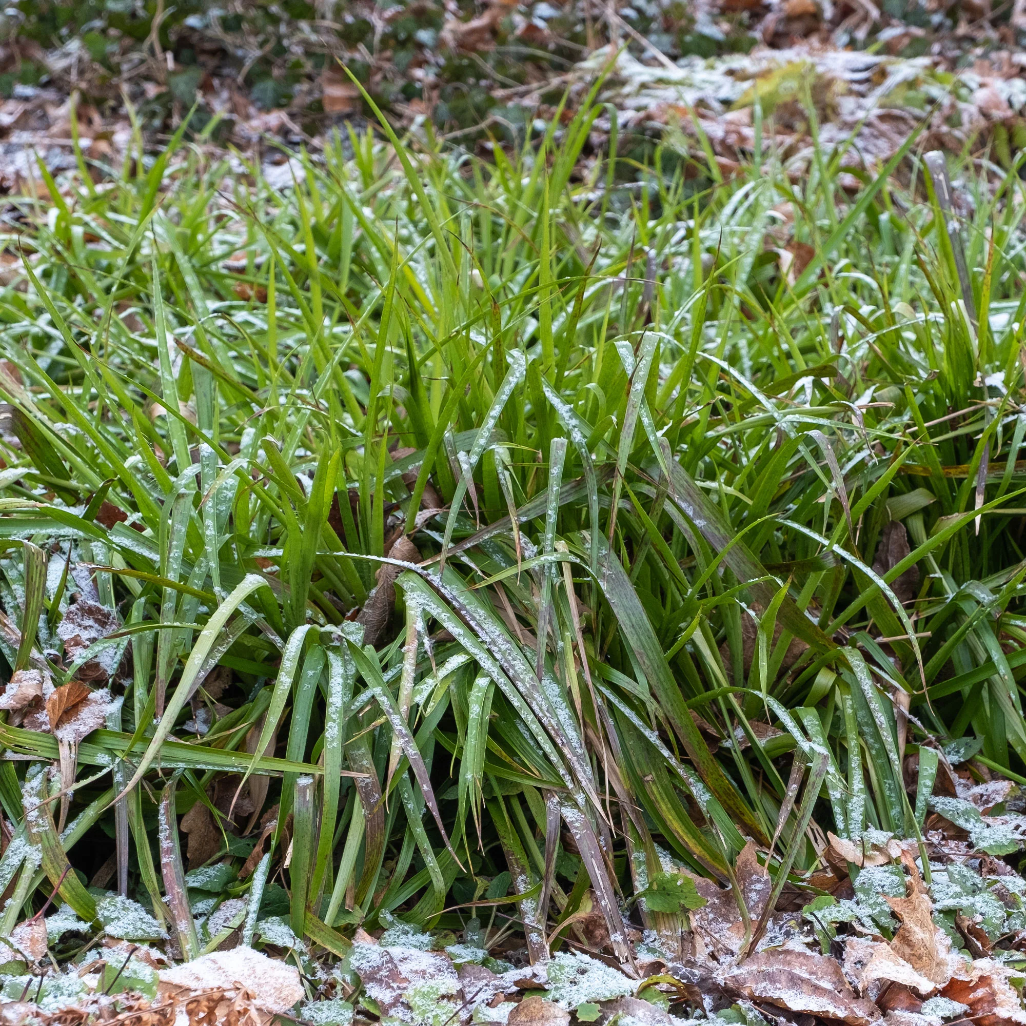 Produktbild 2