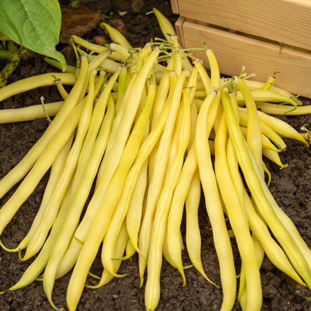 Produktbild 2