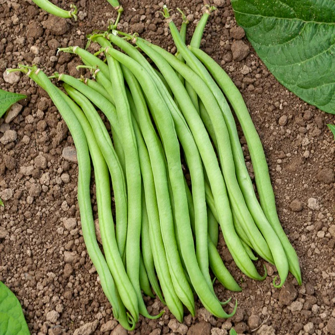 Produktbild 2