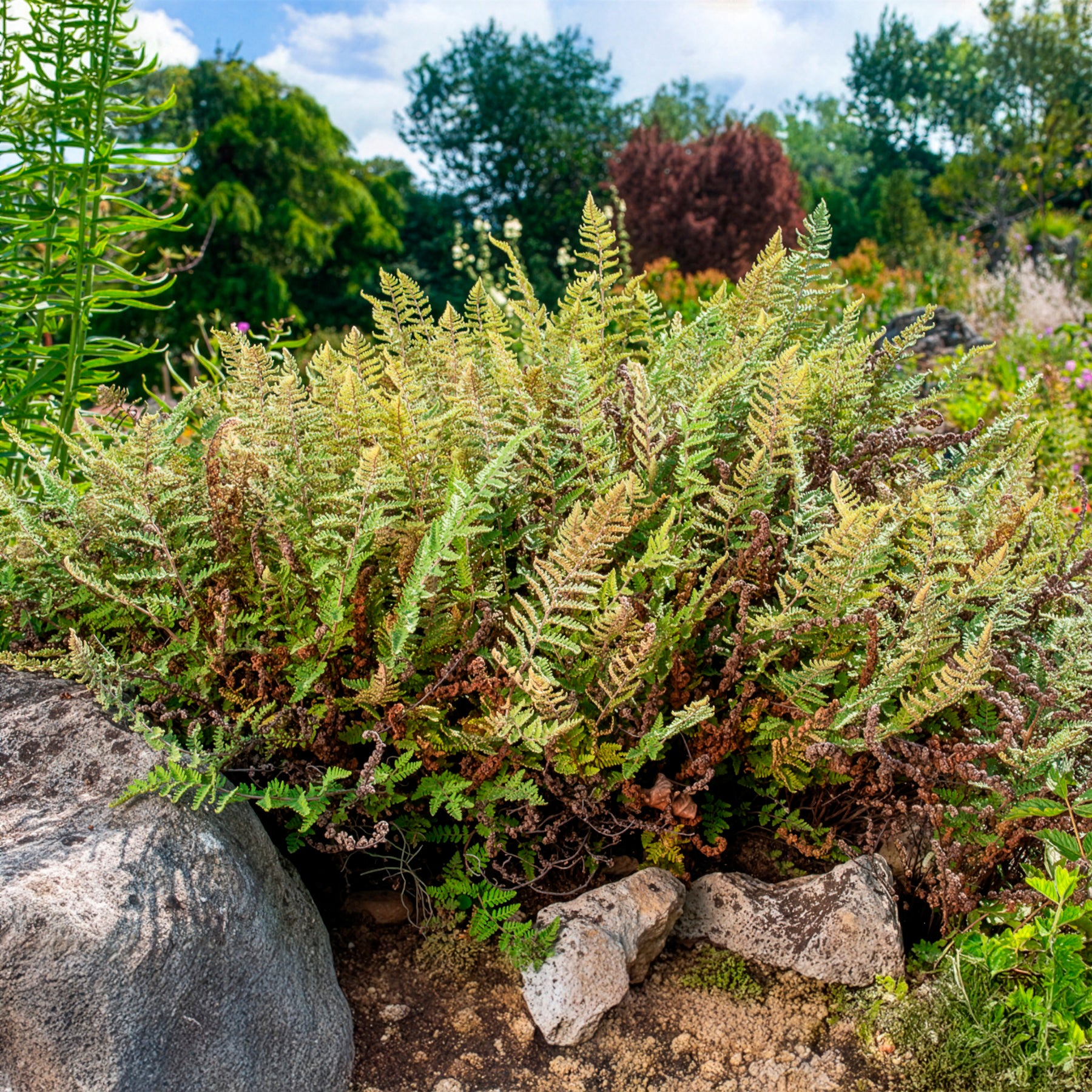 Produktbild 3