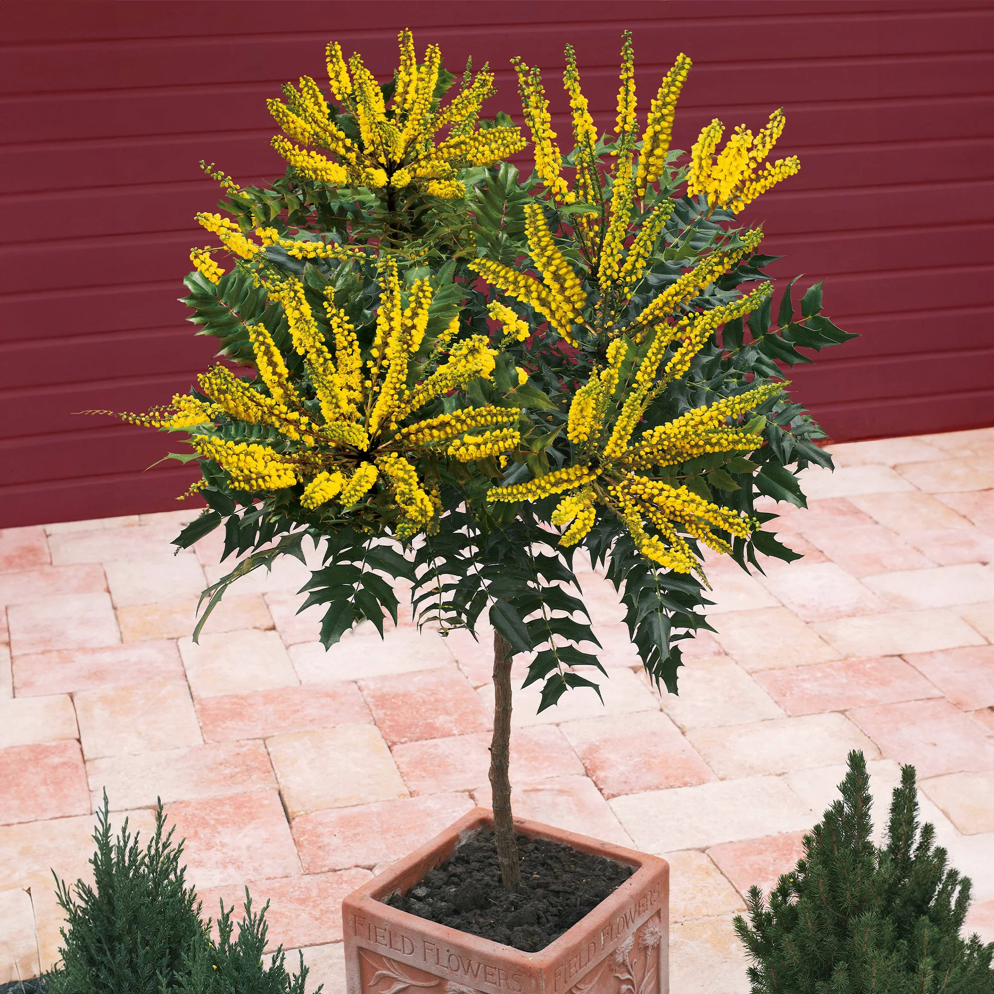 Produktbild 1