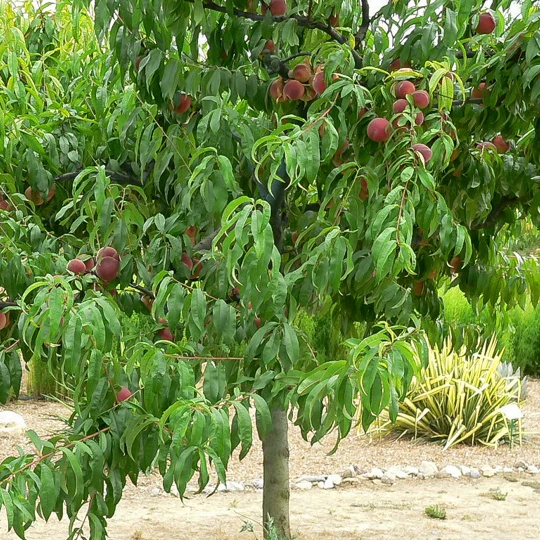 Produktbild 2
