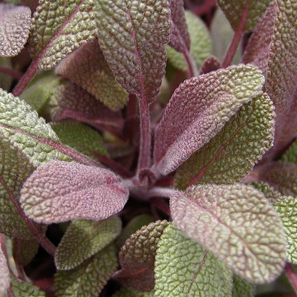 Produktbild 3