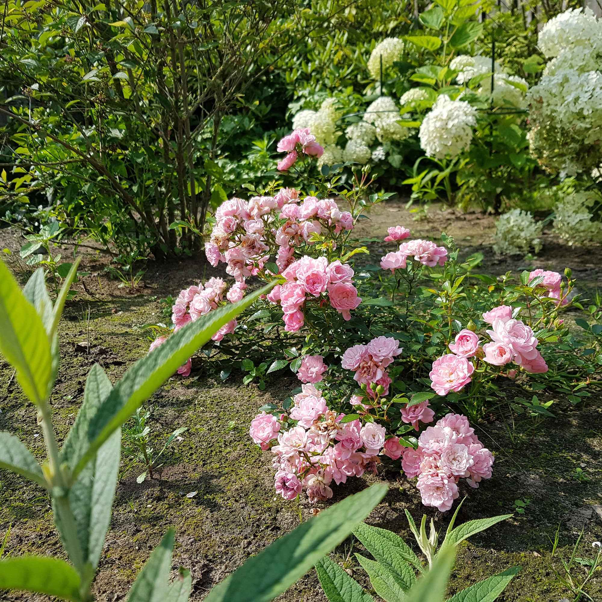 Vorschaubild 2
