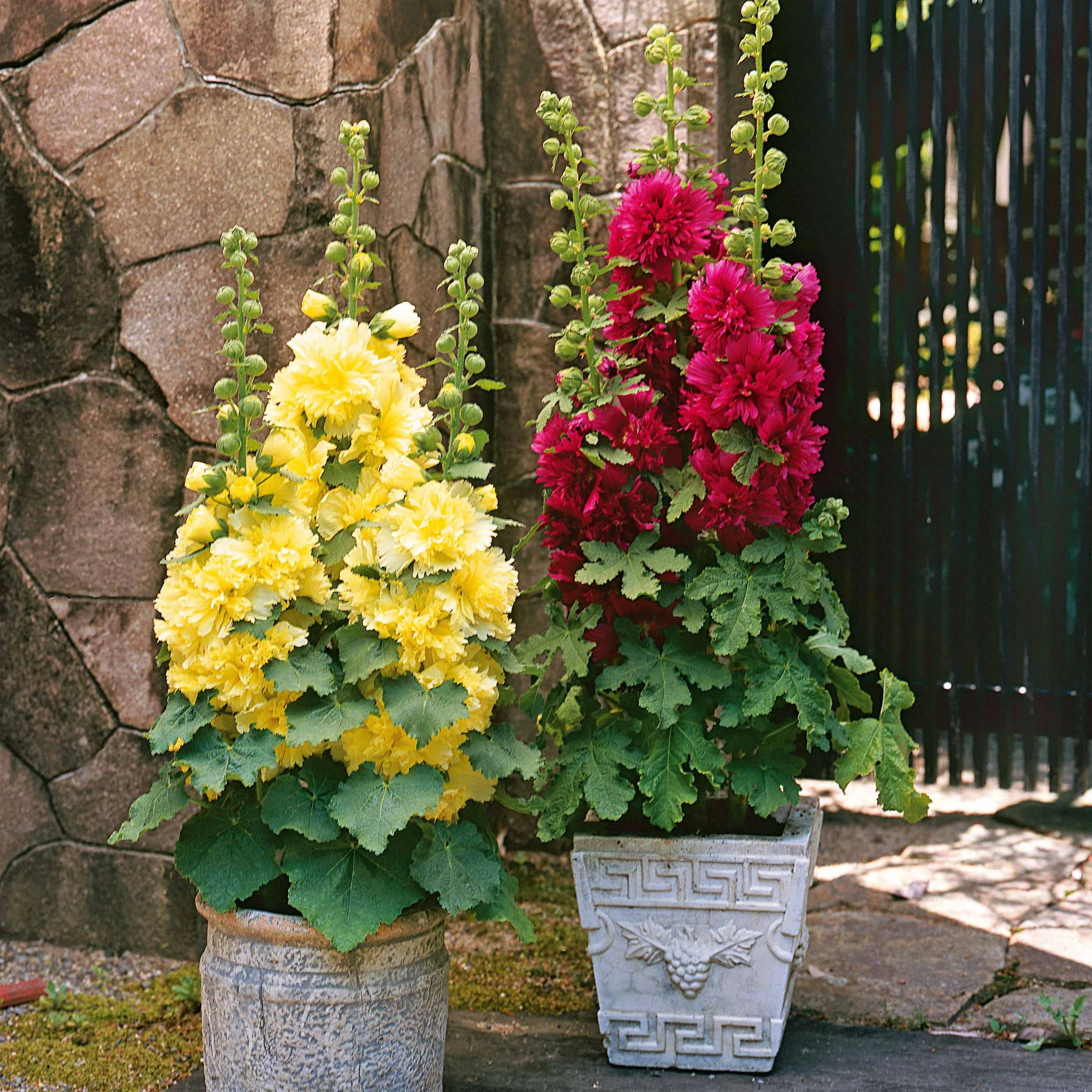 Produktbild 2