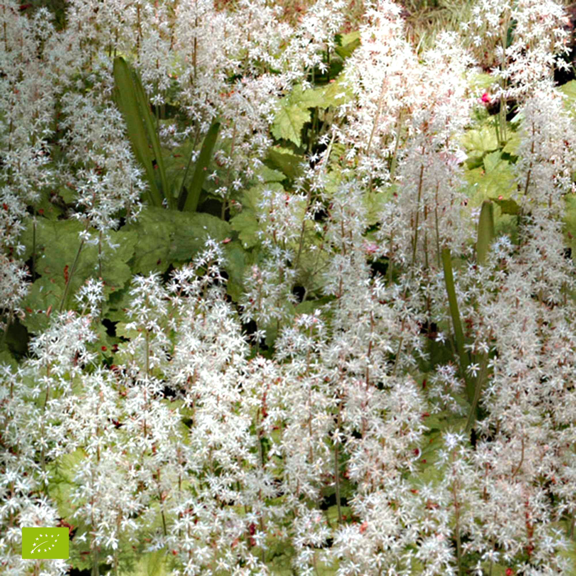 Produktbild 2