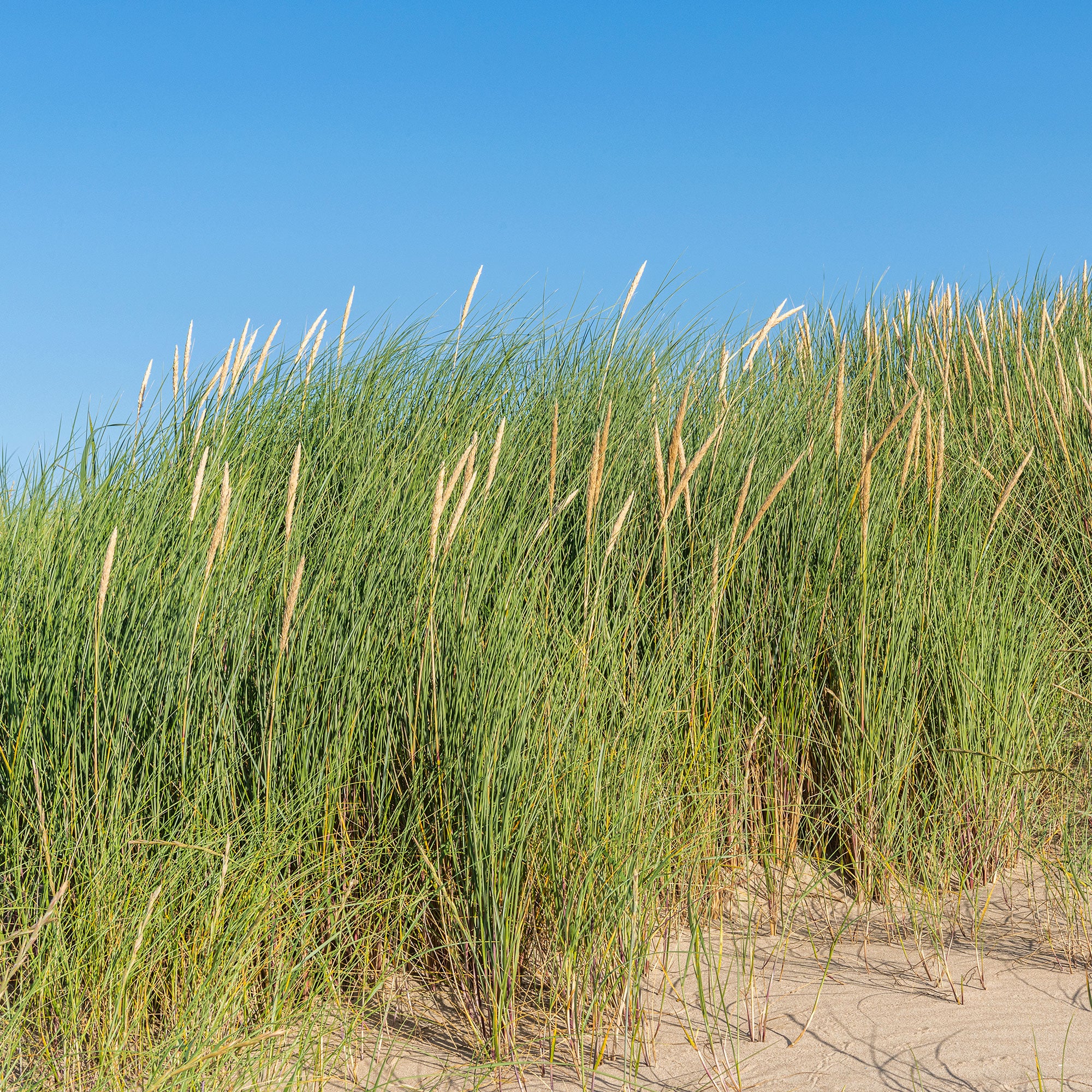 Produktbild 2
