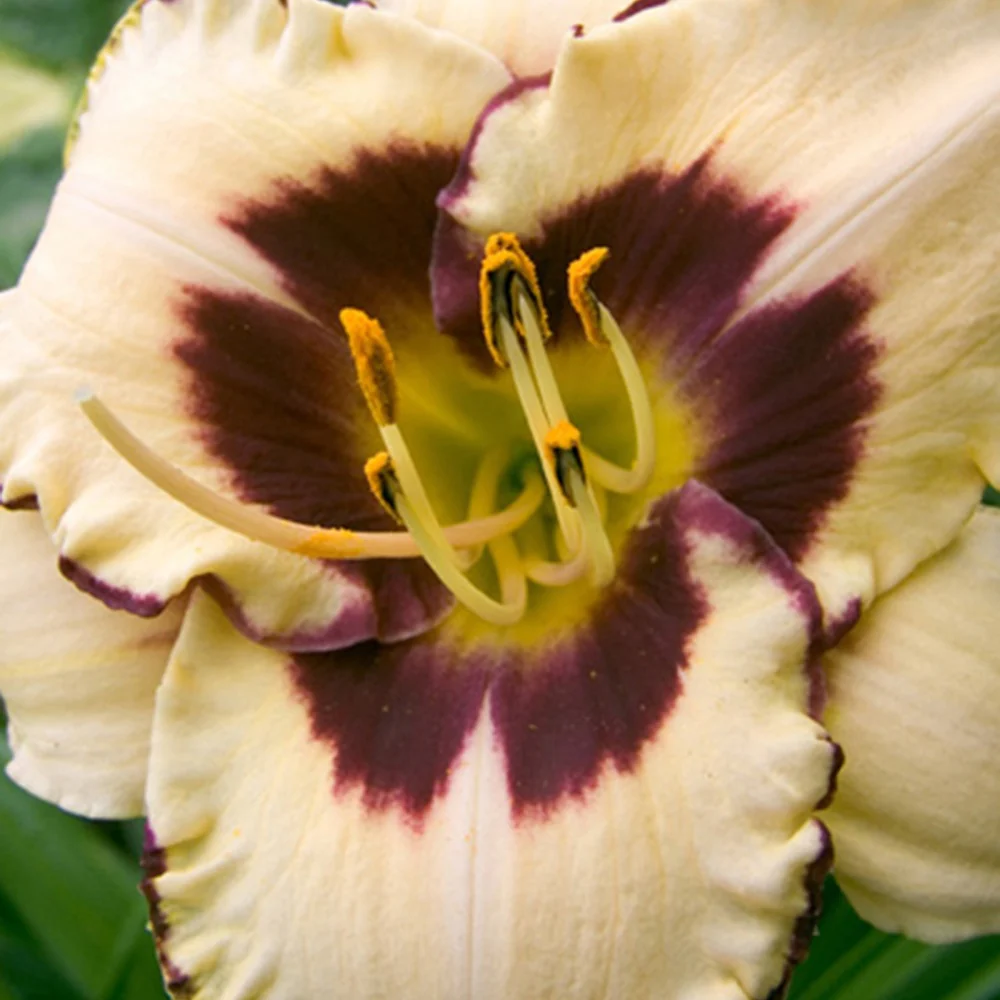 Produktbild 3