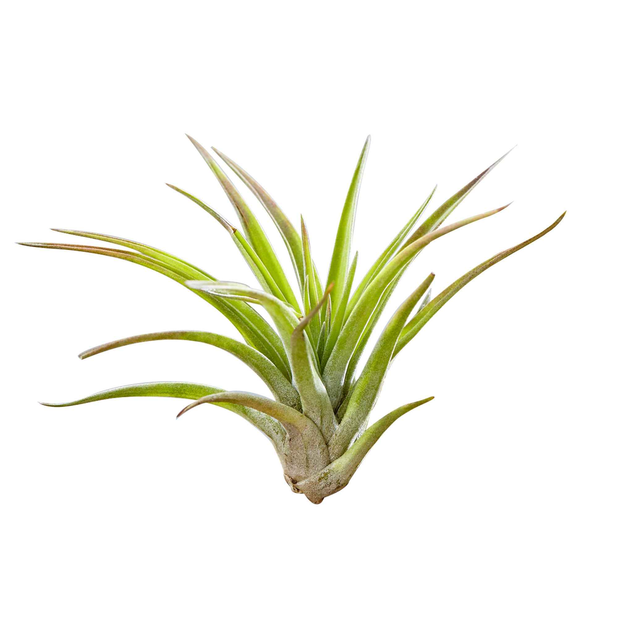 Produktbild 2