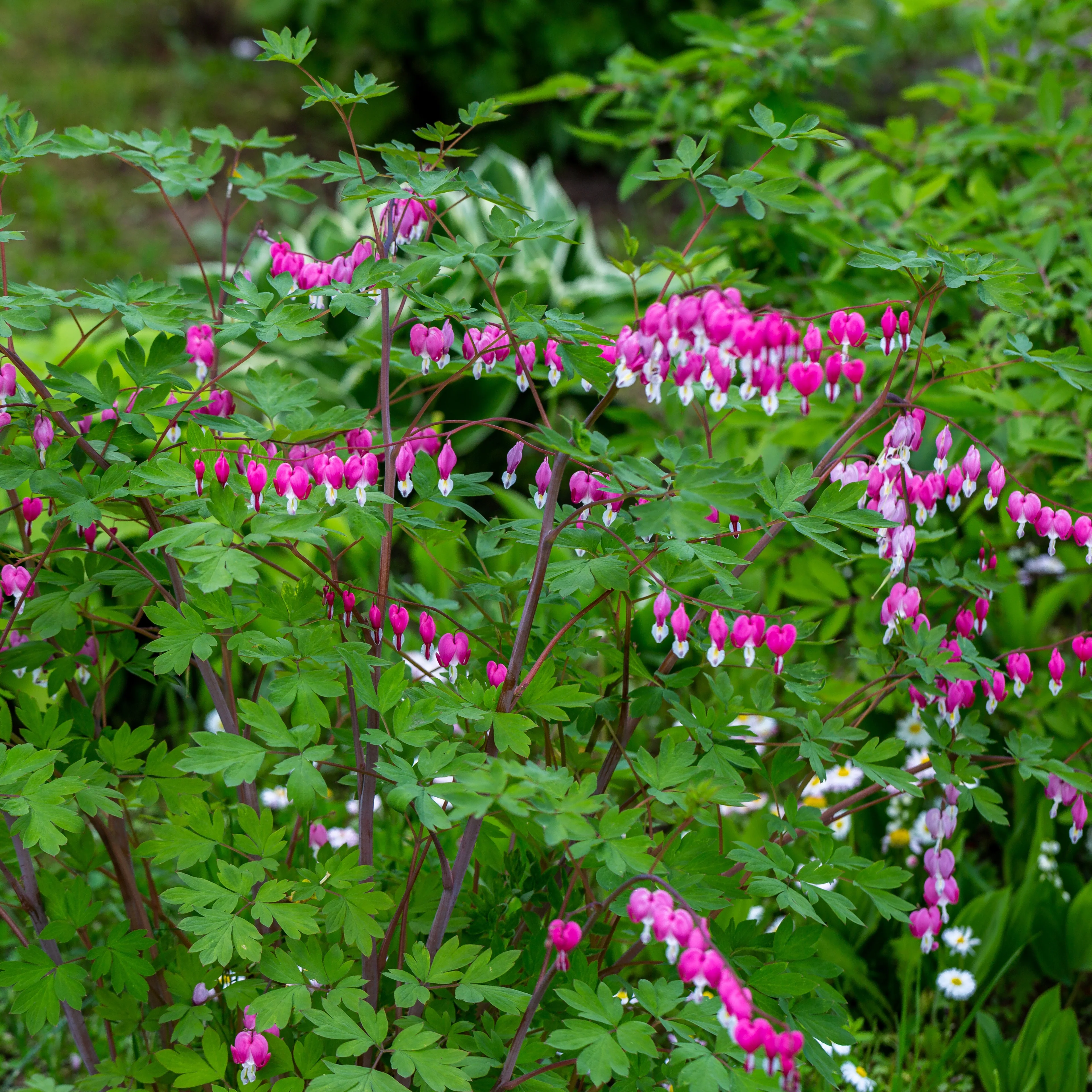 Produktbild 2