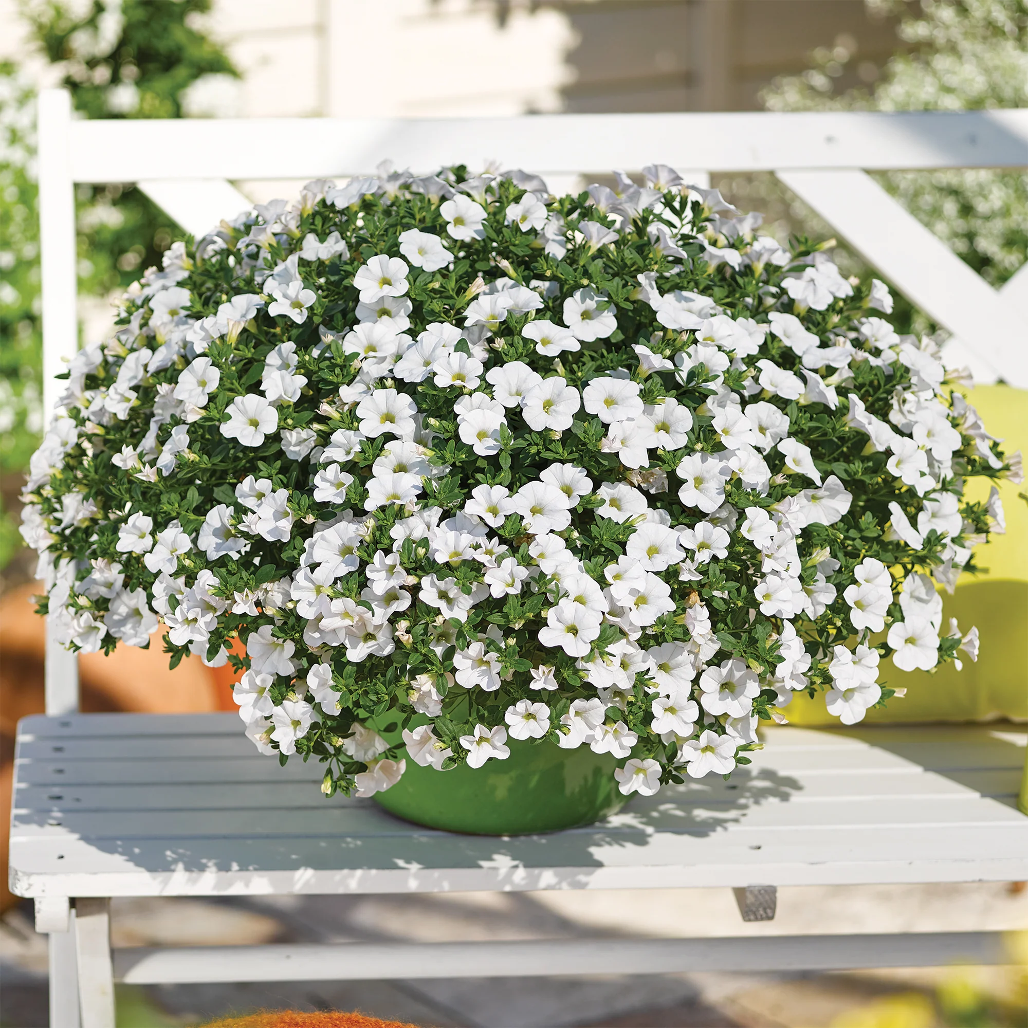 Produktbild 2